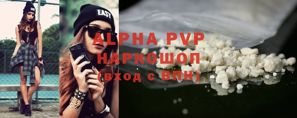 стафф Вяземский
