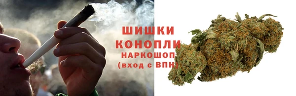стафф Вяземский