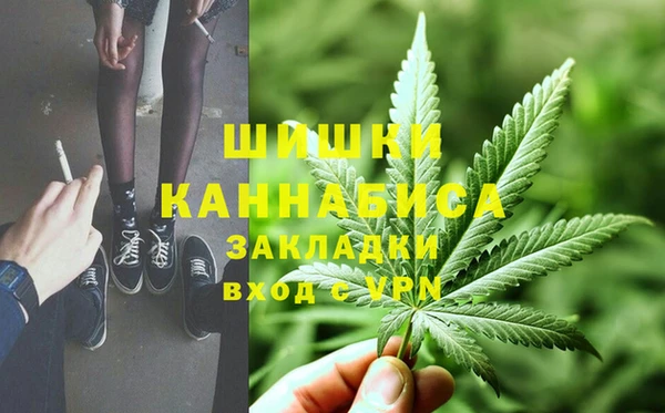 стафф Вяземский