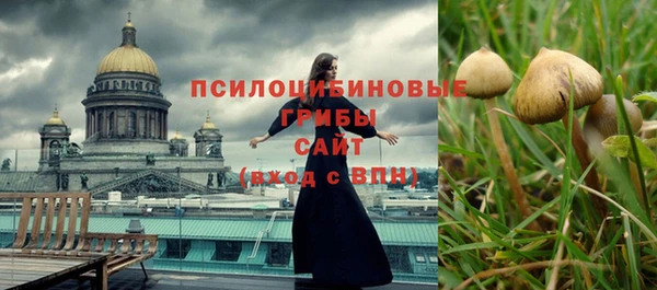 МДПВ Вязьма
